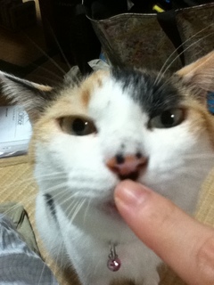 20120923.JPG